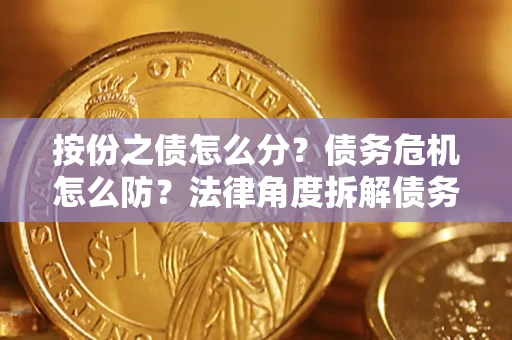 武汉按份之债怎么分？债务危机怎么防？法律角度拆解债务分配与风险自保指南