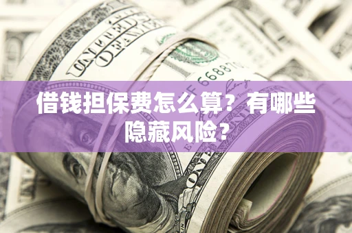 武汉借钱担保费怎么算？有哪些隐藏风险？
