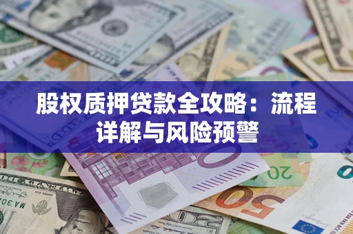 武汉股权质押贷款全攻略：流程详解与风险预警
