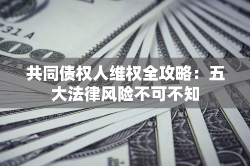 武汉共同债权人维权全攻略：五大法律风险不可不知