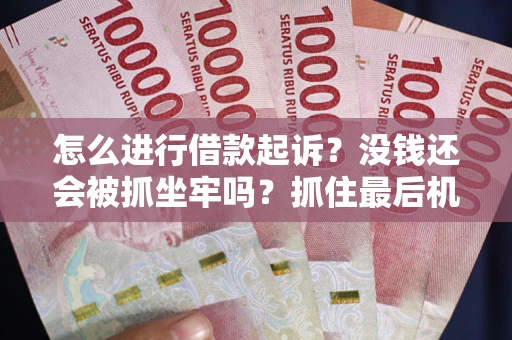 武汉怎么进行借款起诉？没钱还会被抓坐牢吗？抓住最后机会！