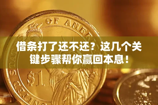 武汉借条打了还不还？这几个关键步骤帮你赢回本息！