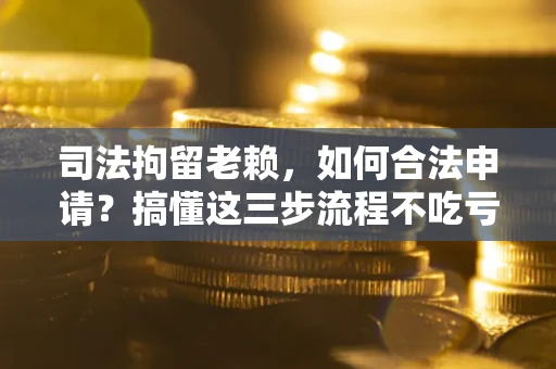 武汉司法拘留老赖，如何合法申请？搞懂这三步流程不吃亏！