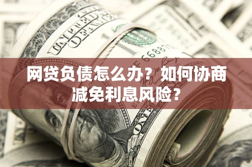 武汉网贷负债怎么办？如何协商减免利息风险？