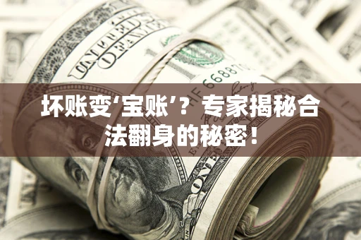 武汉坏账变‘宝账’？专家揭秘合法翻身的秘密！