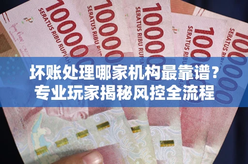 武汉坏账处理哪家机构最靠谱？专业玩家揭秘风控全流程