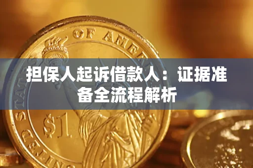 武汉担保人起诉借款人：证据准备全流程解析