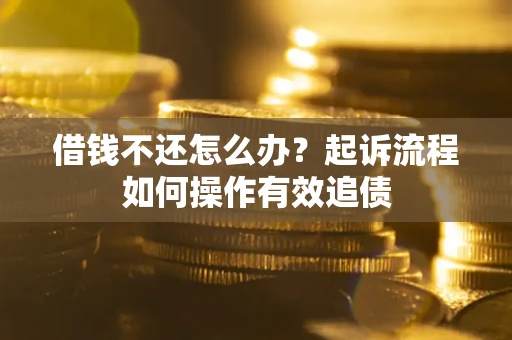 武汉借钱不还怎么办？起诉流程如何操作有效追债
