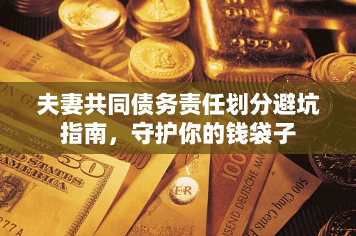 武汉夫妻共同债务责任划分避坑指南，守护你的钱袋子