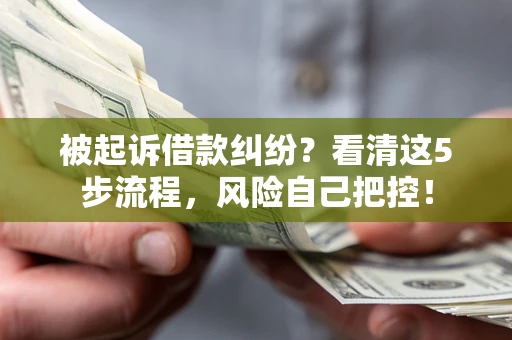 武汉被起诉借款纠纷？看清这5步流程，风险自己把控！