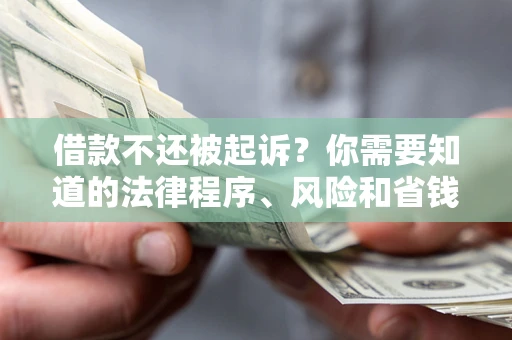 武汉借款不还被起诉？你需要知道的法律程序、风险和省钱技巧